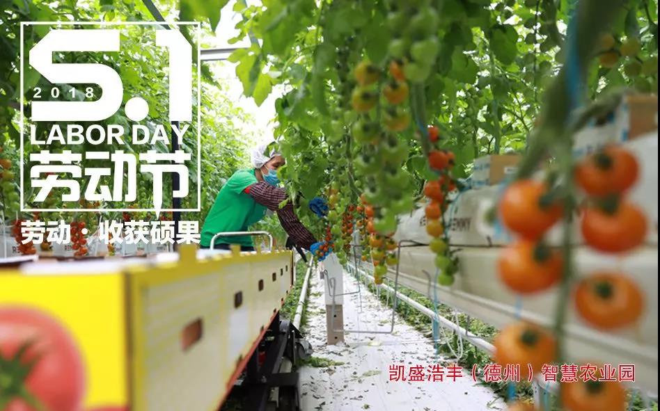 今年会·jnh(中国区)官方网站入口