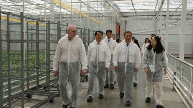 今年会·jnh(中国区)官方网站入口