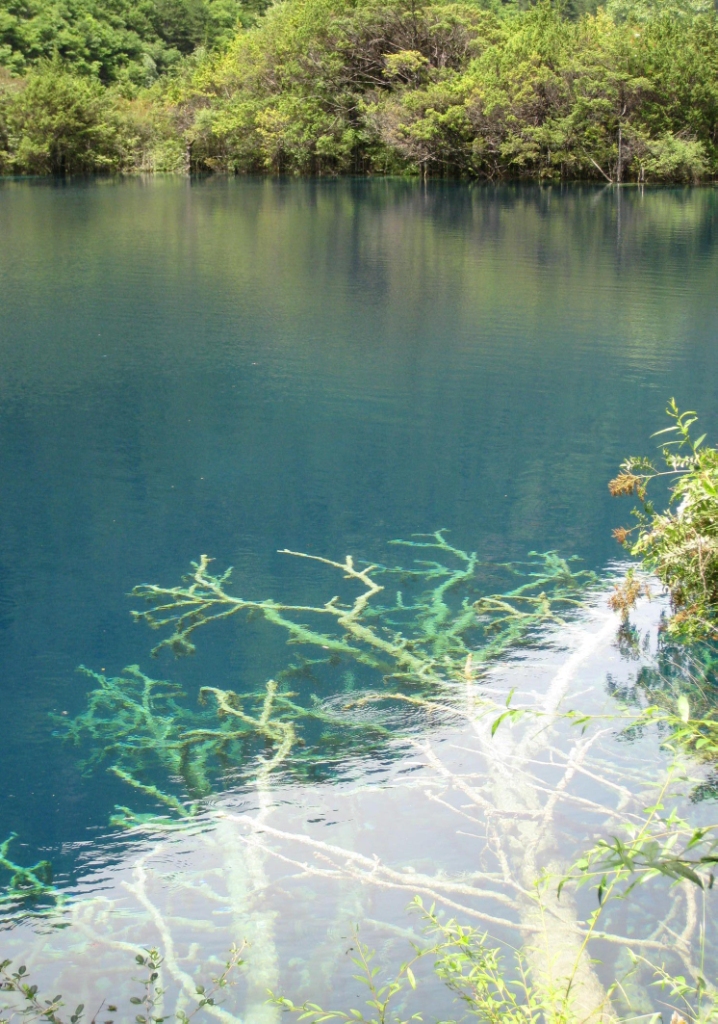 今年会·jnh(中国区)官方网站入口