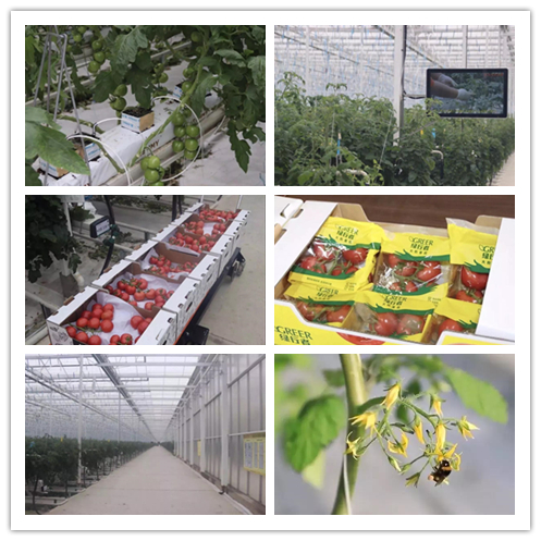 今年会·jnh(中国区)官方网站入口