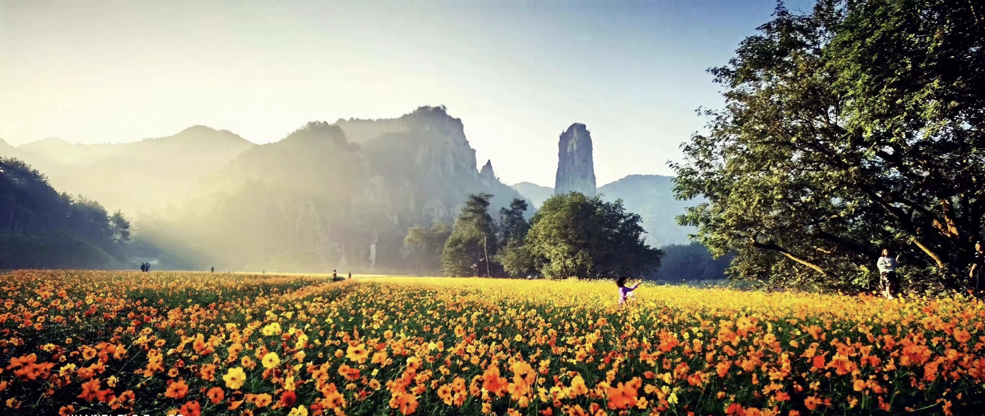 今年会·jnh(中国区)官方网站入口