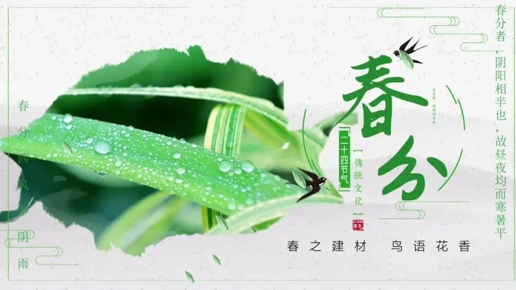 今日春分 | 春之建材，鸟语花香