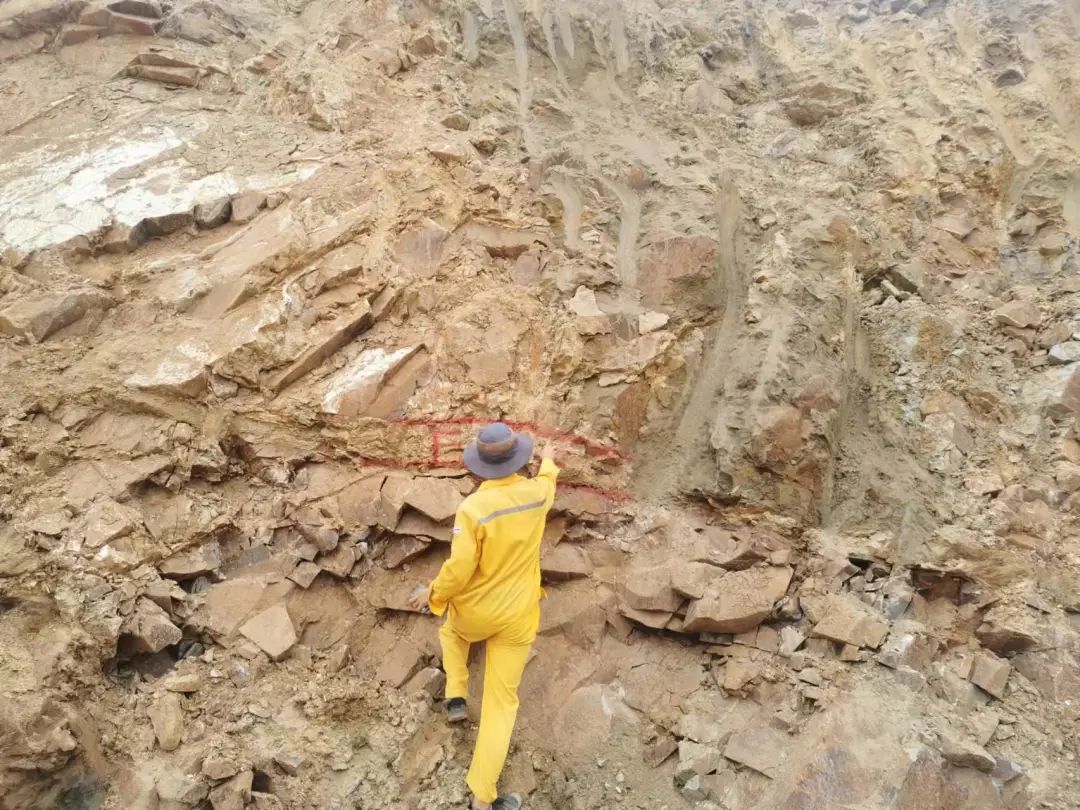 今年会·jnh(中国区)官方网站入口