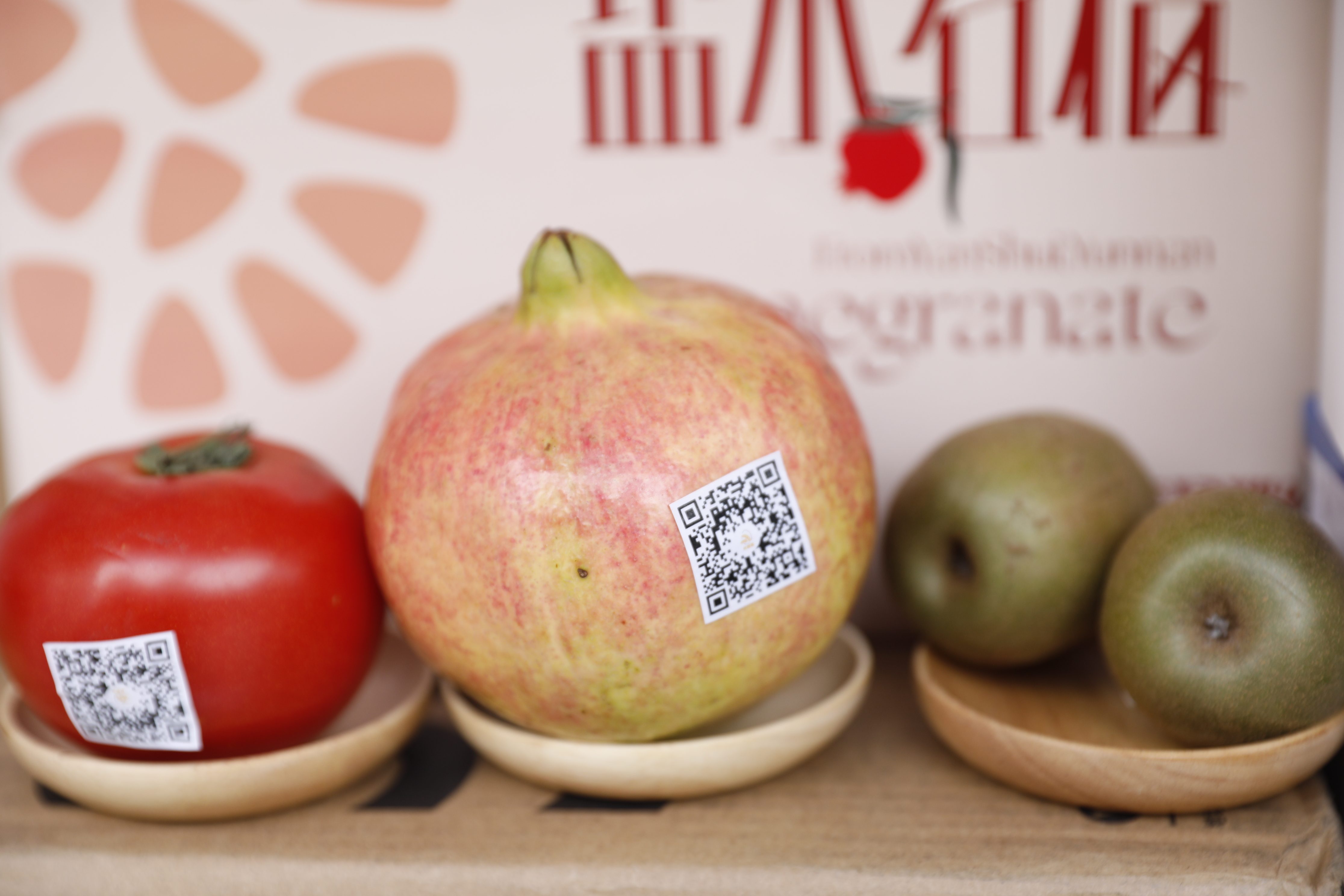 今年会·jnh(中国区)官方网站入口