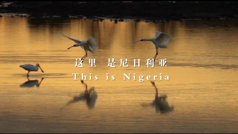 善用资源盛开日 | 中材国际尼日利亚从“相通”走向“深融”：带您“云看”海表项目部的一天