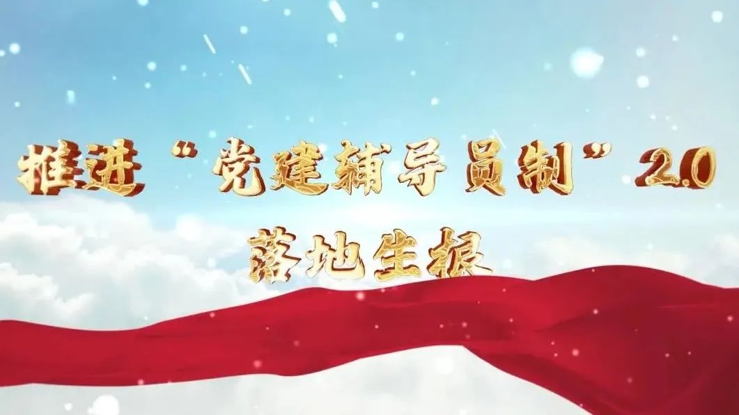  党建经营融合十佳案例④ | 西南水泥——“领导员造”+“进建型组织”，让党建成为看得见的“出产力” 