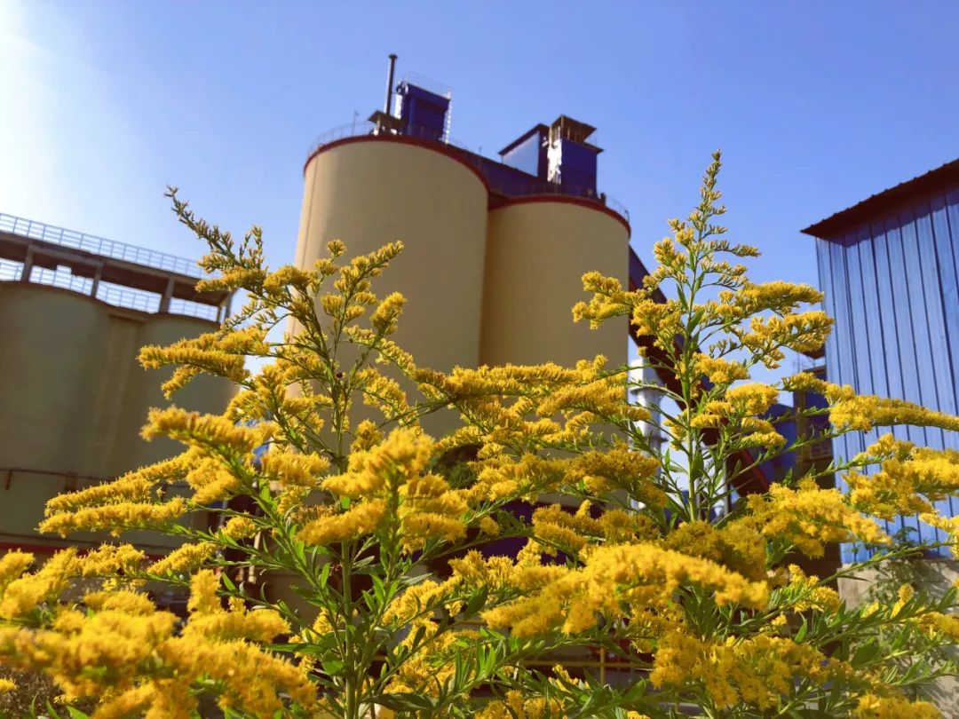 20201109094139546319