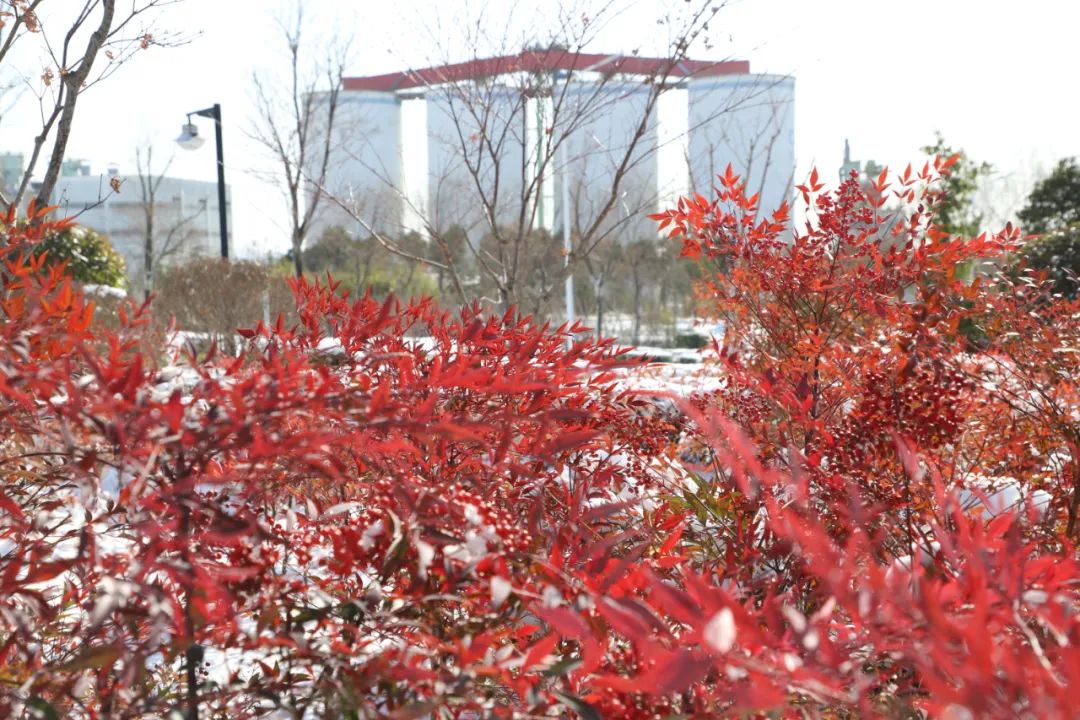 20210126100243337420