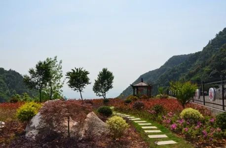 20210623094257443456