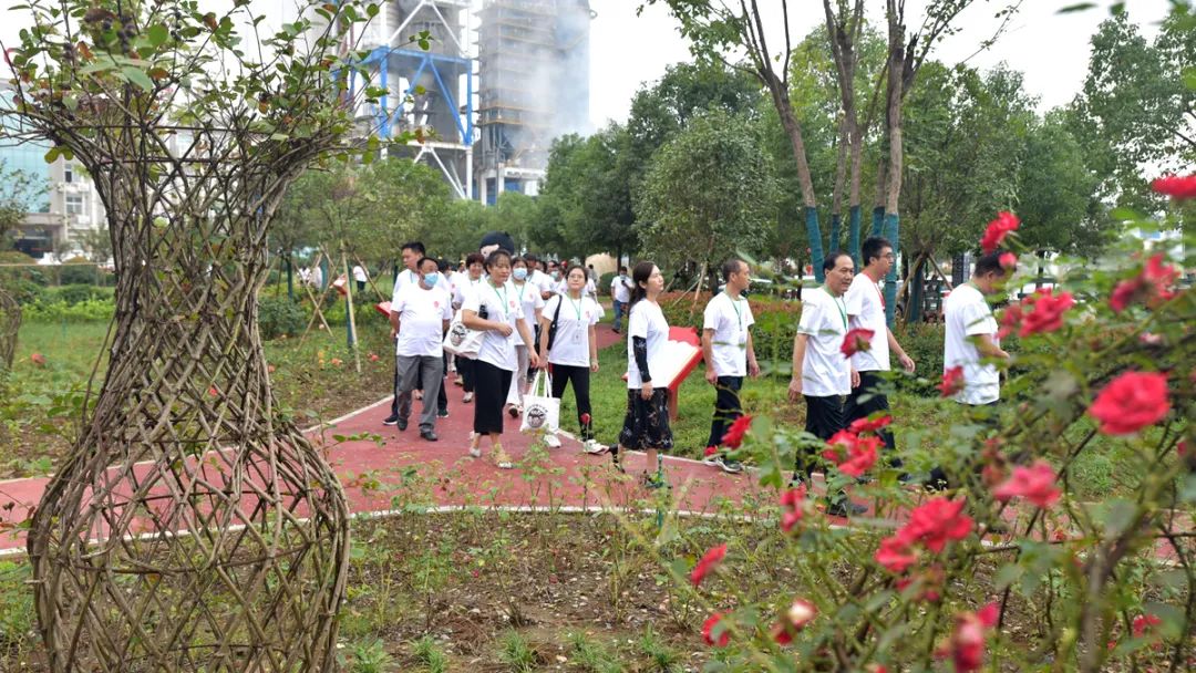 20211003125625466427