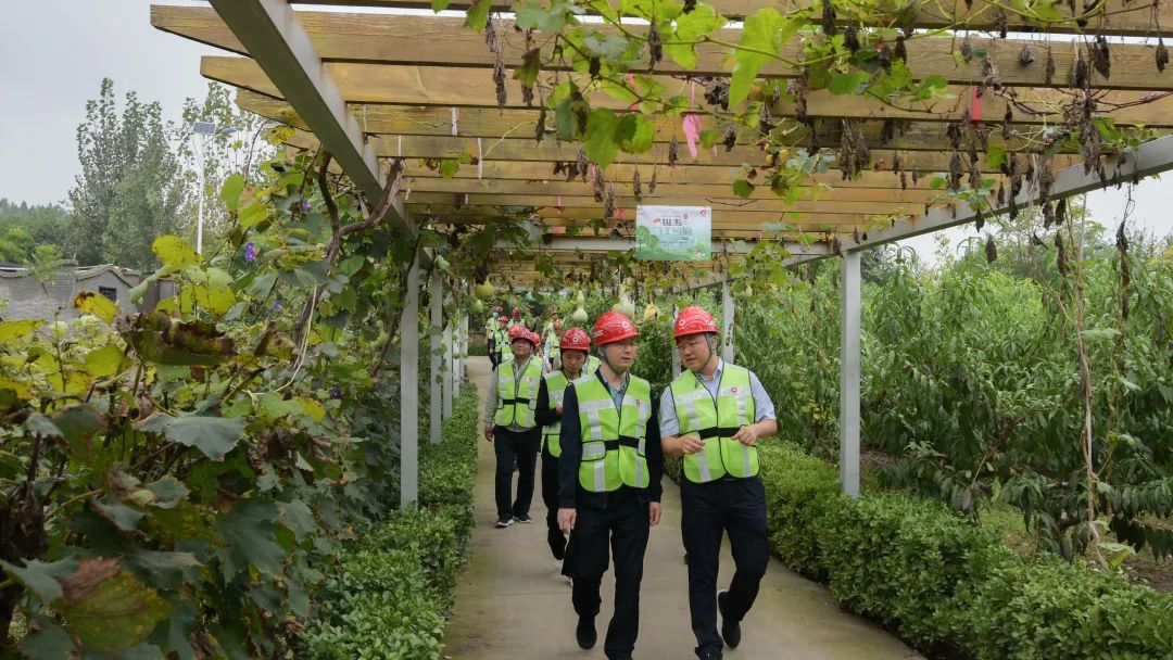 20211003125625794032