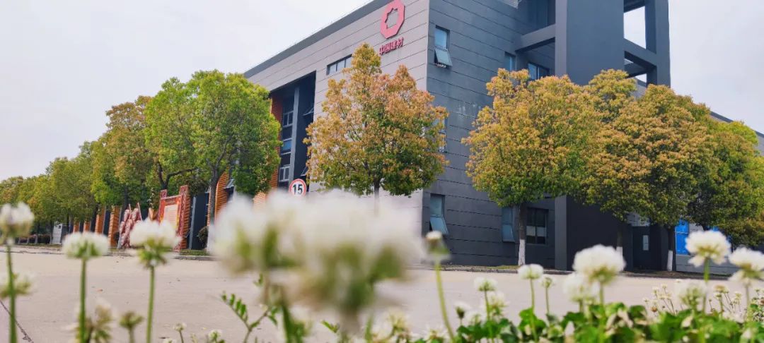 20220406161200896412