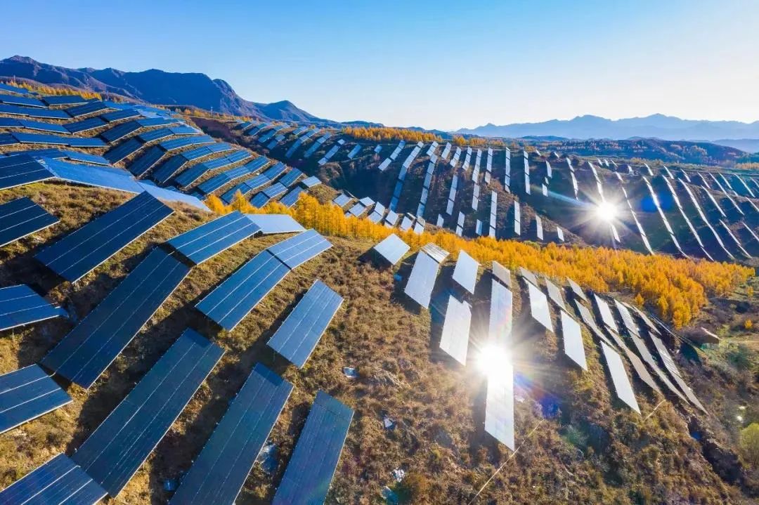 20220422092414268611