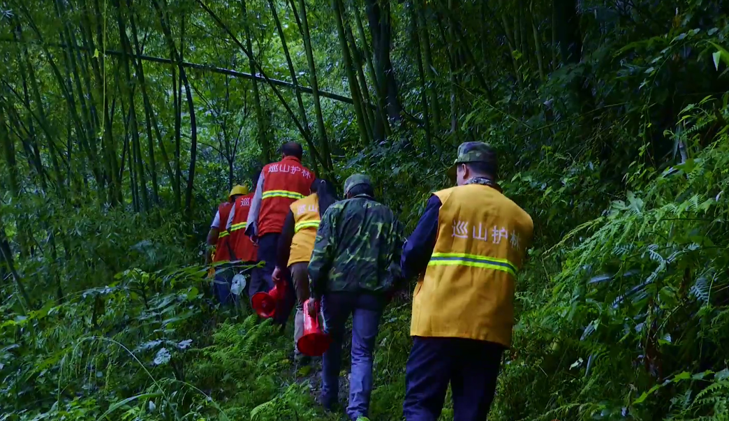 20220614174614668221