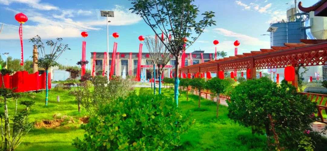 今年会·jnh(中国区)官方网站入口