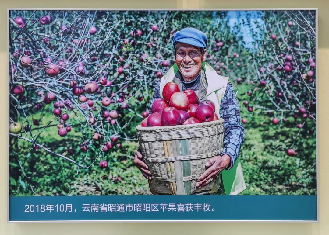 20221008145111888123