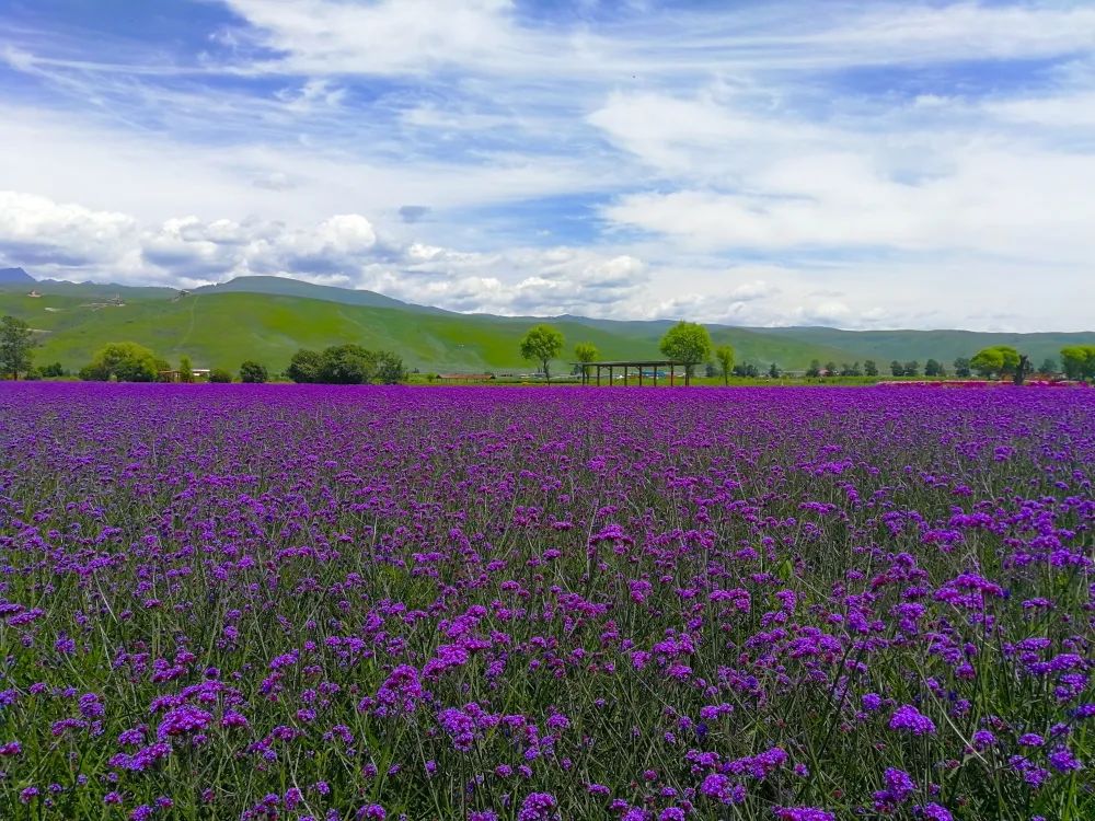 20230504114221023725