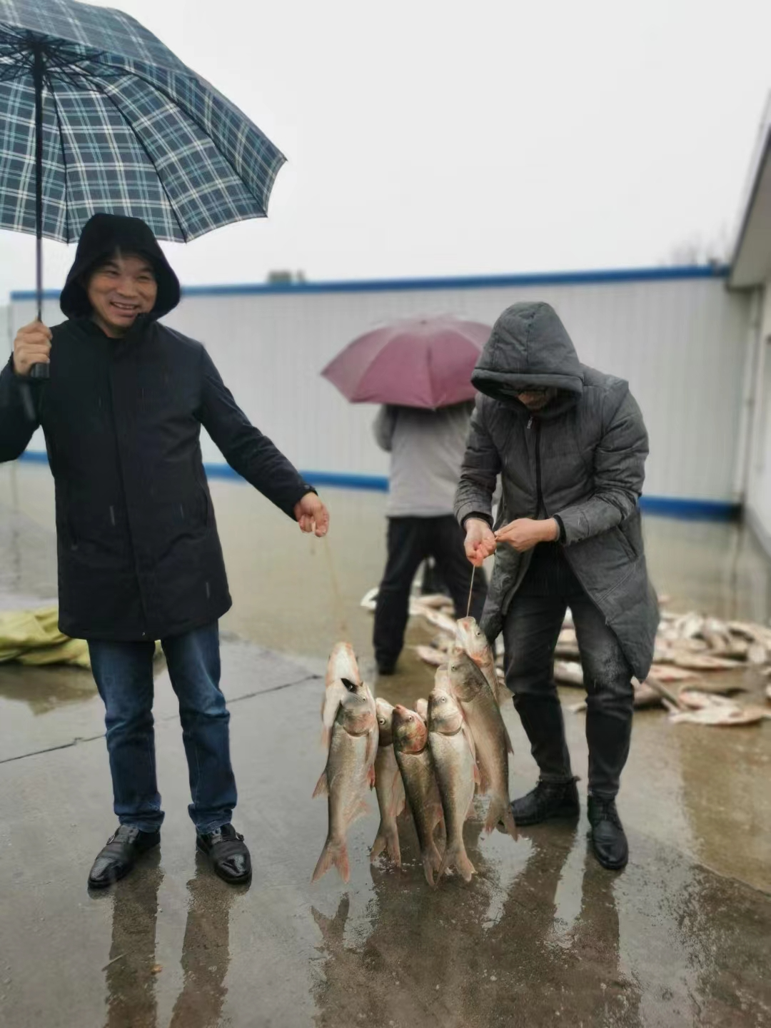 20230707172914546329