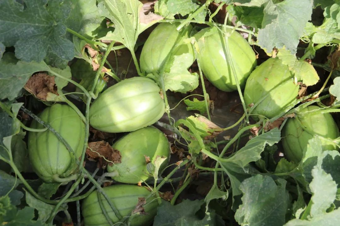 20230821094349236824