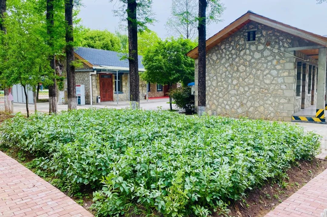 20230821094353452639