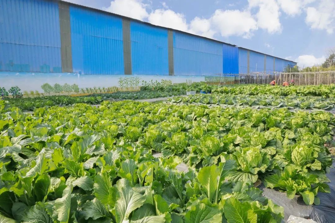 20230821094353875141