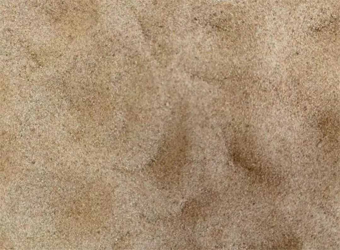 20240109103546879827