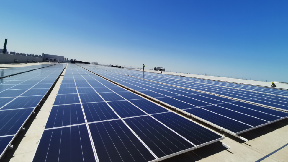 20240613100159506617