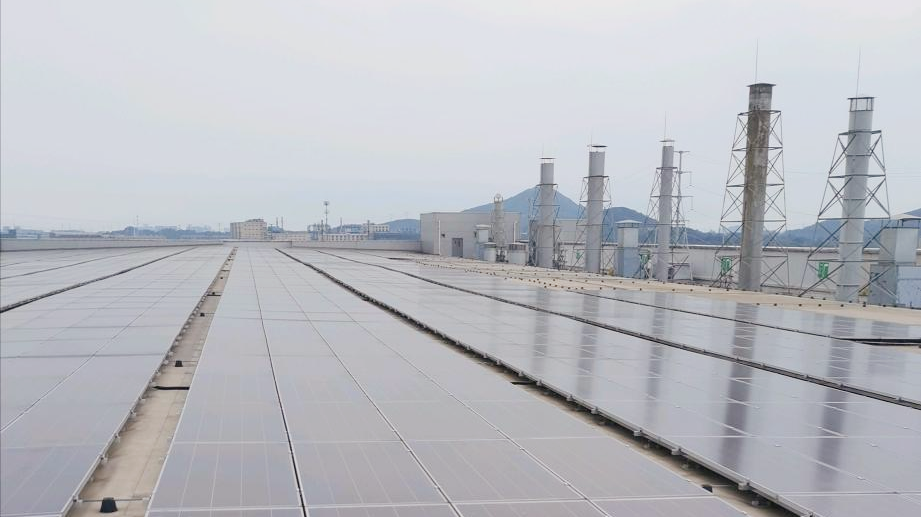 20240613100159620218