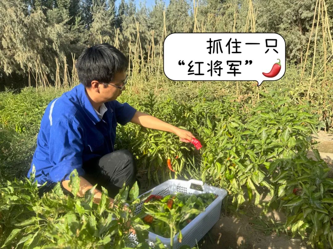 20241028114352107813