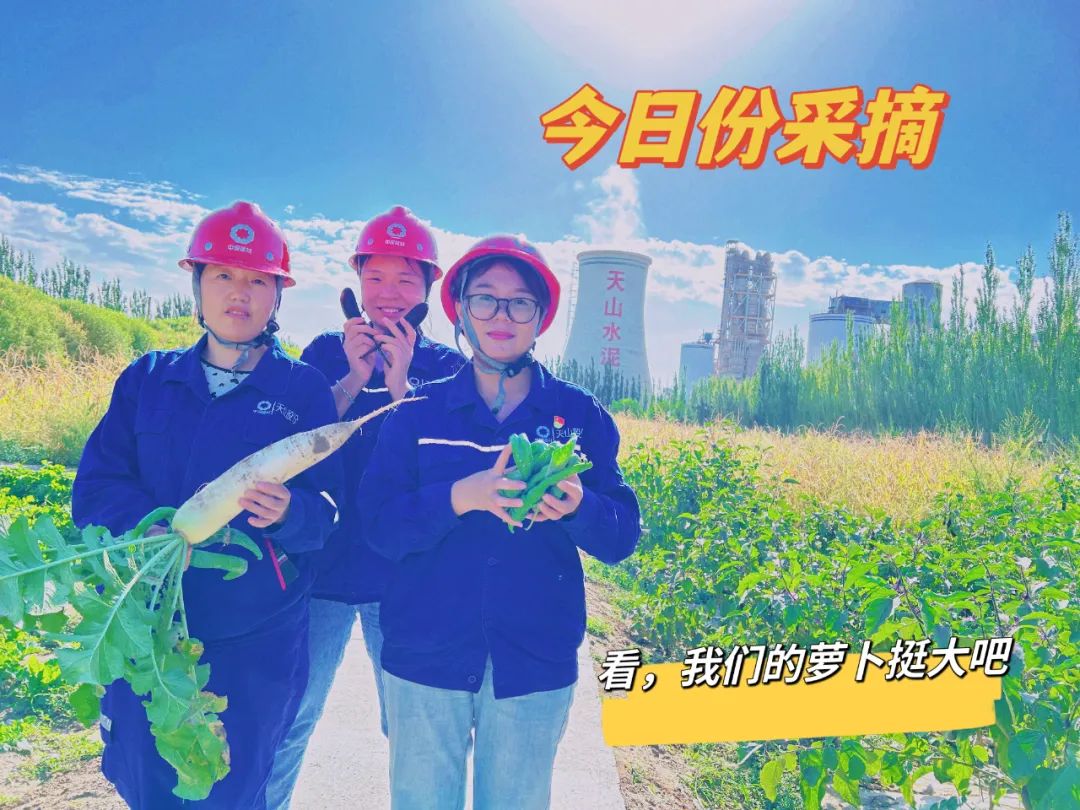 20241028114352225915