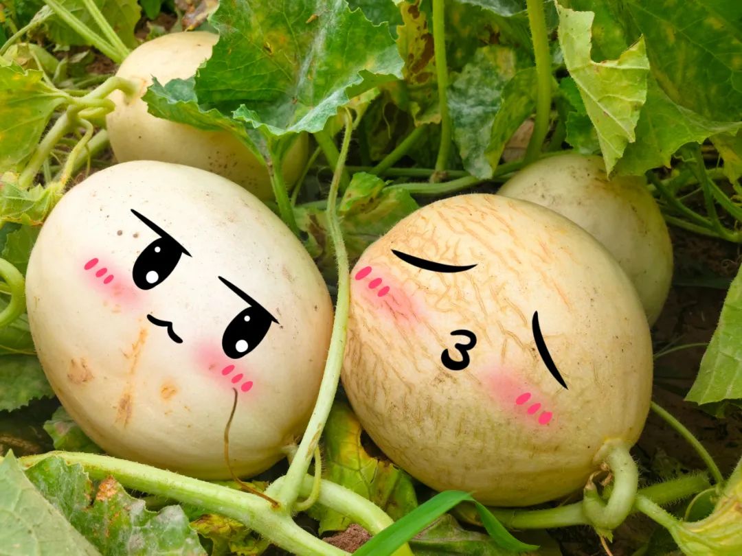 20241028114352558422