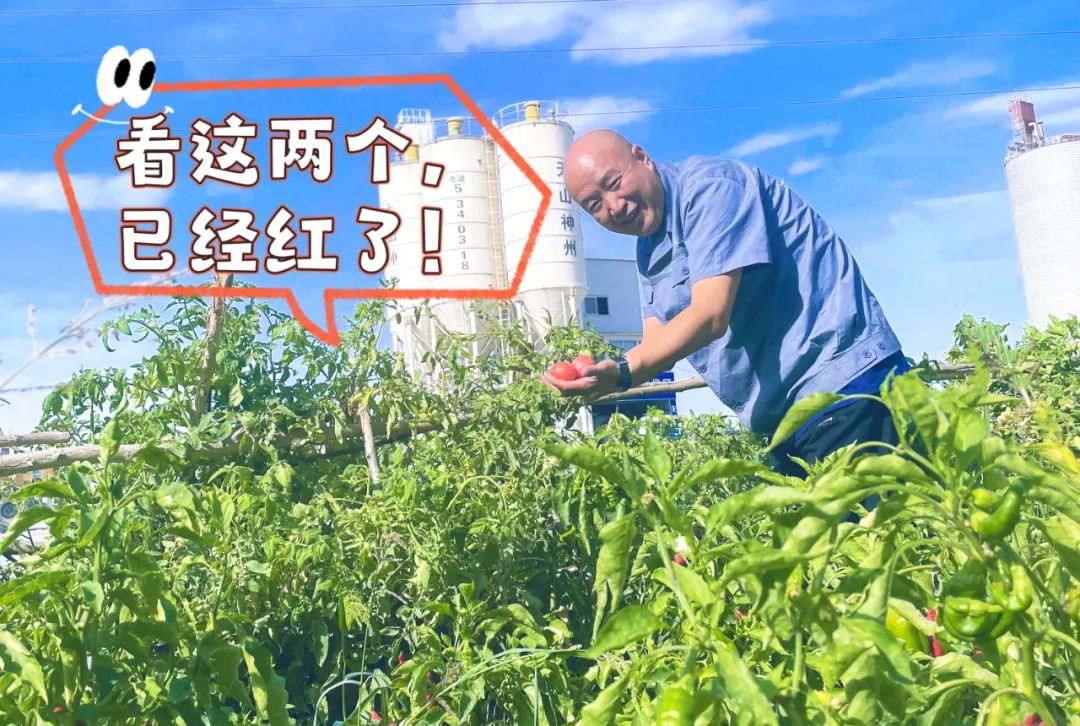 20241028114352871031