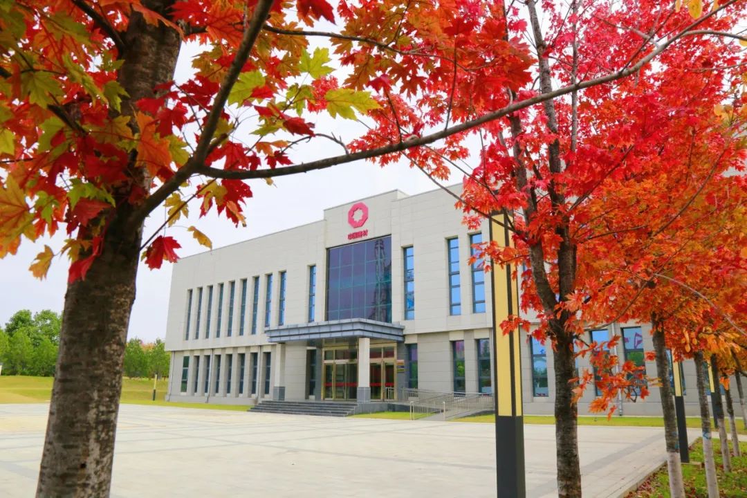 20241118161350969826