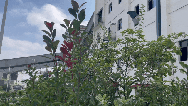 20241118162215867819