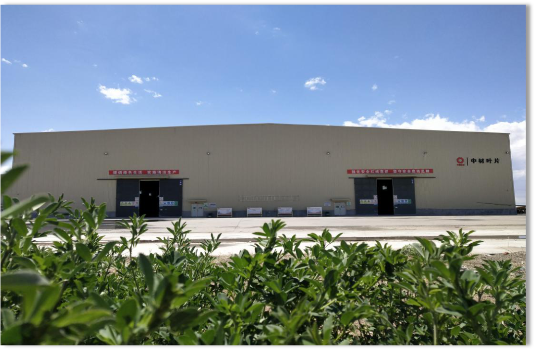 20241230100016164421