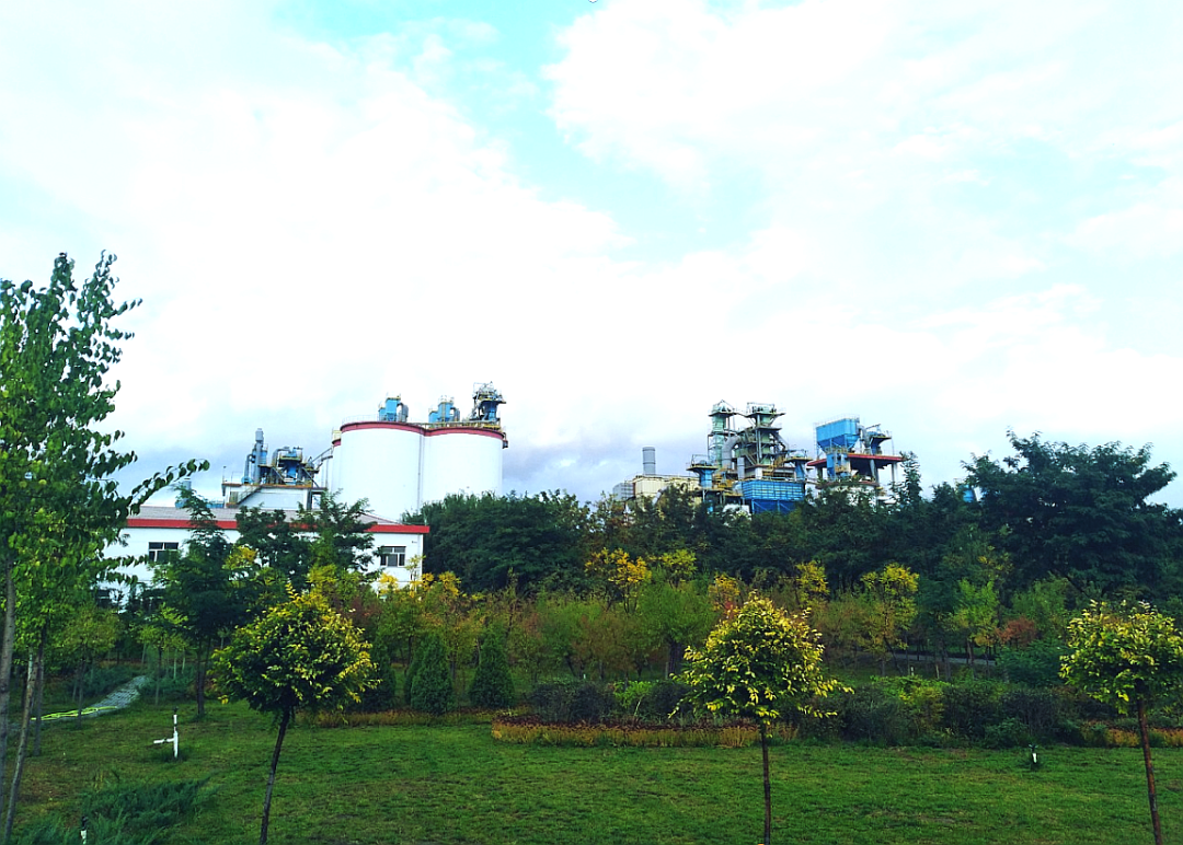 20250313100807940917