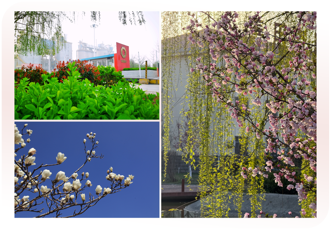 20250421100318116510