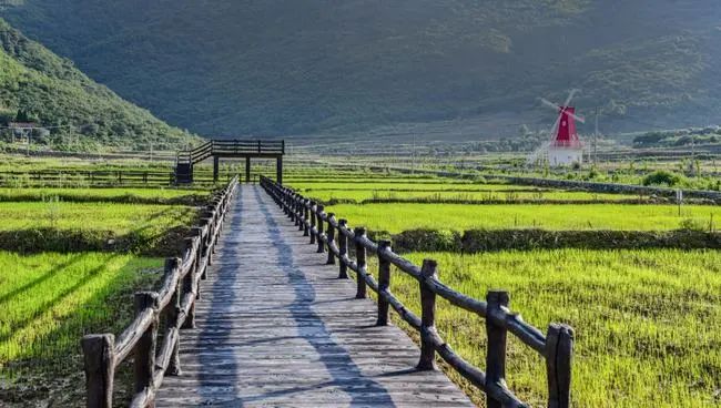 20250527093328992212